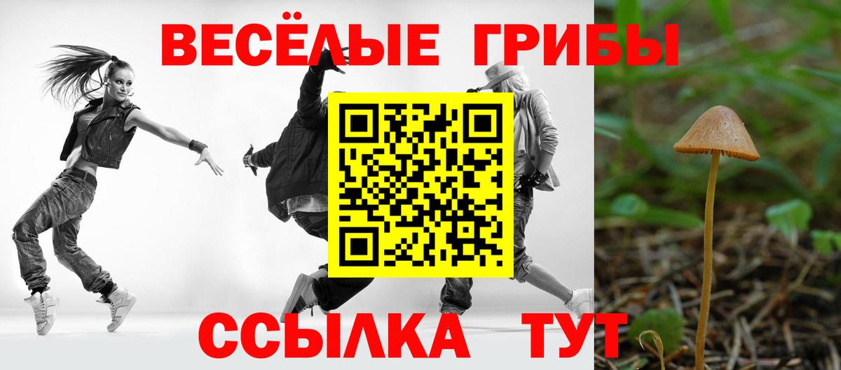 Кстово  Псилоцибиновые грибы ЛСД  Вход с VPN 