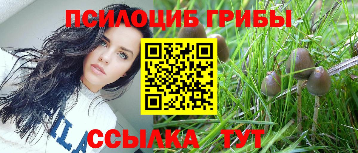 Галлюциногенные грибы ЛСД Кстово